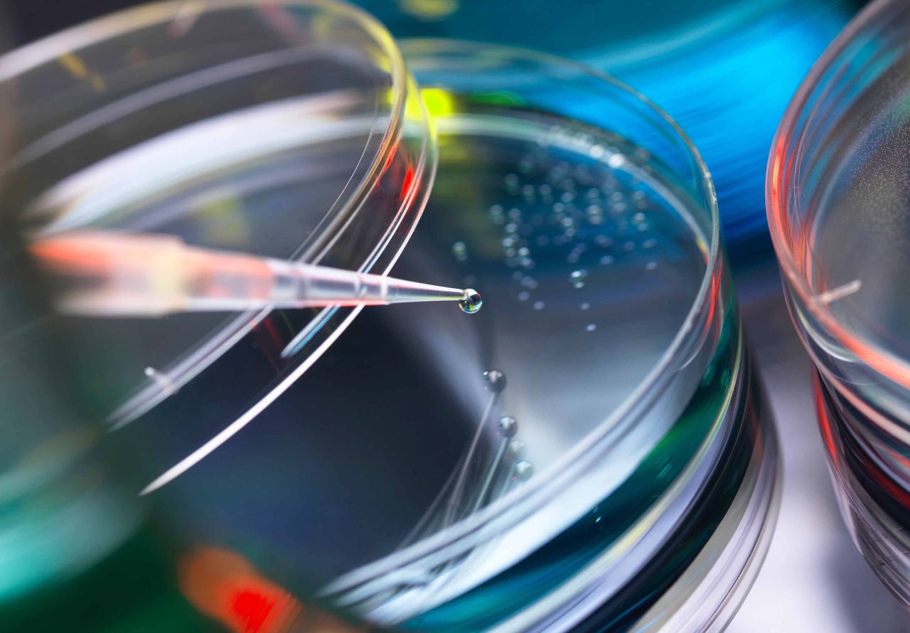 Pipetting liquid into petri dish for medical research