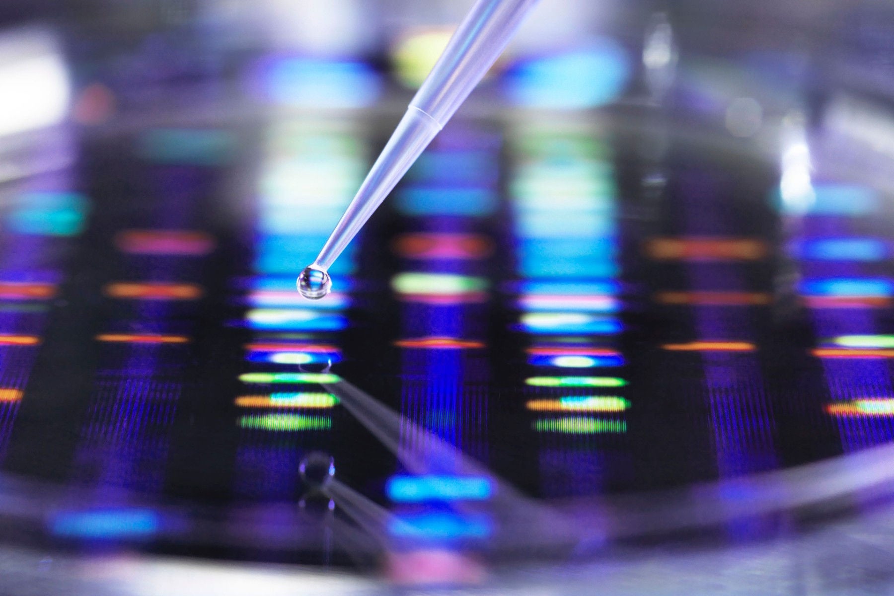 Dna research